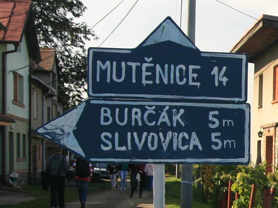 burakovy pochod